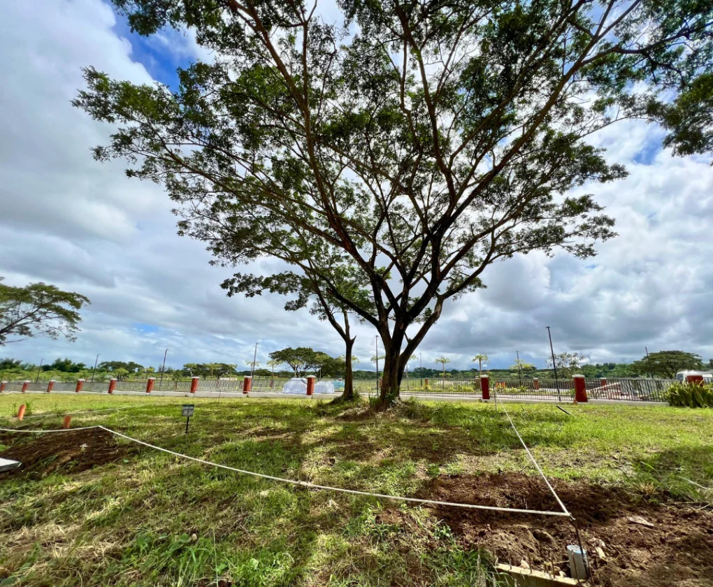 Rockwell South At Carmelray | Lot for Sale in Laguna