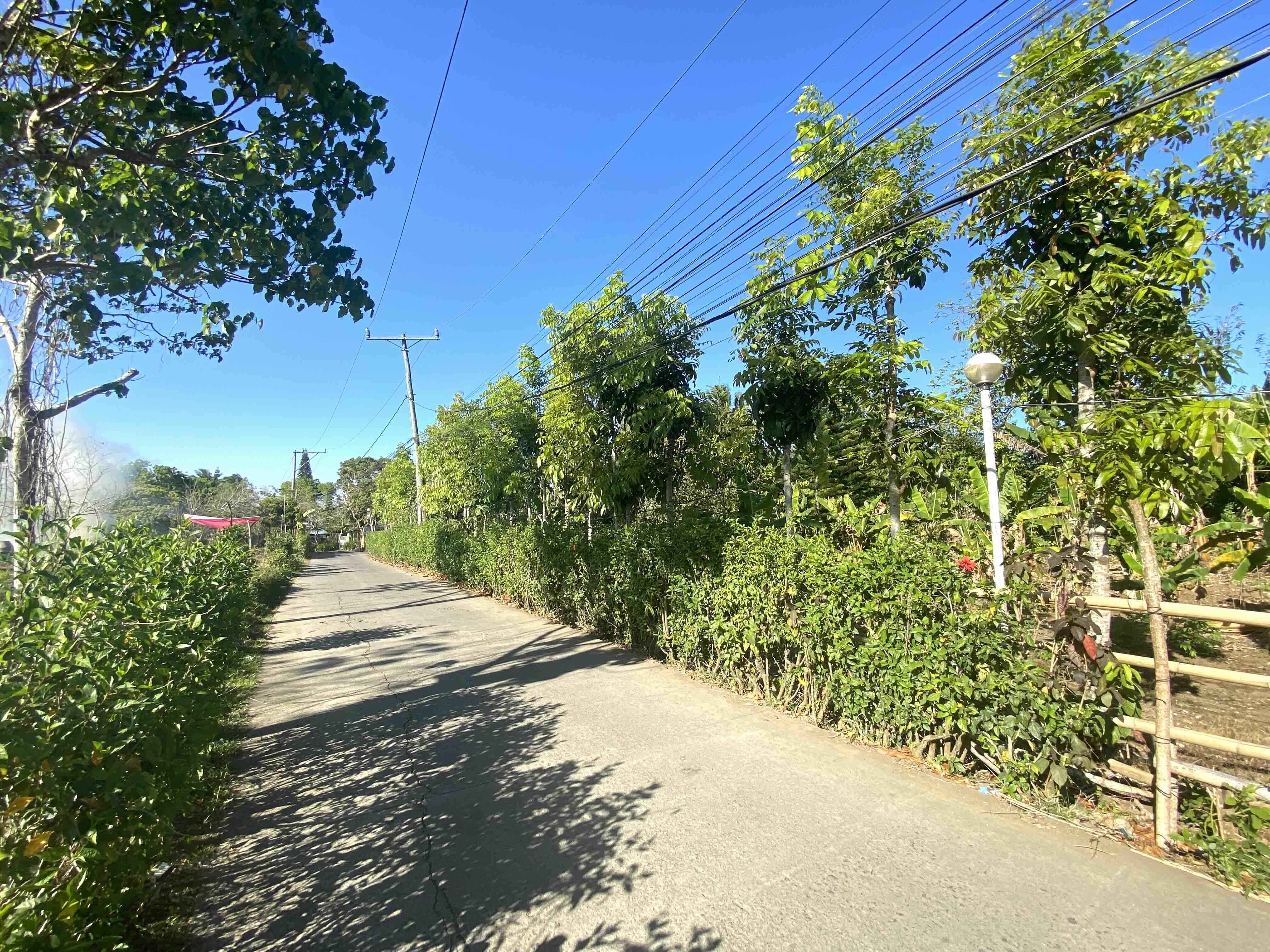 1BR Residential for Sale in Amadeo