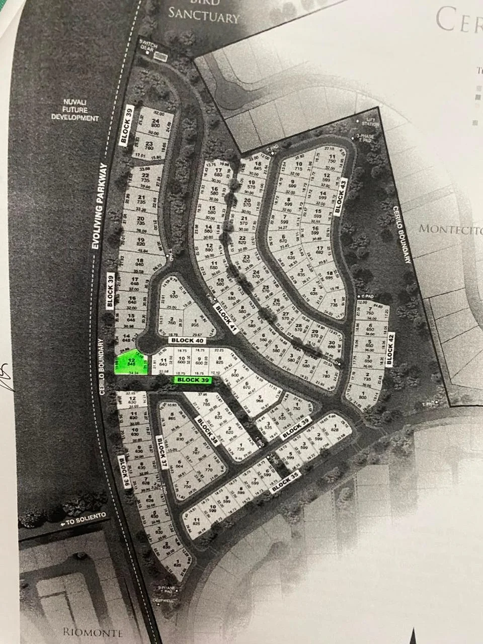 Cerilo | Lot for Sale in Laguna