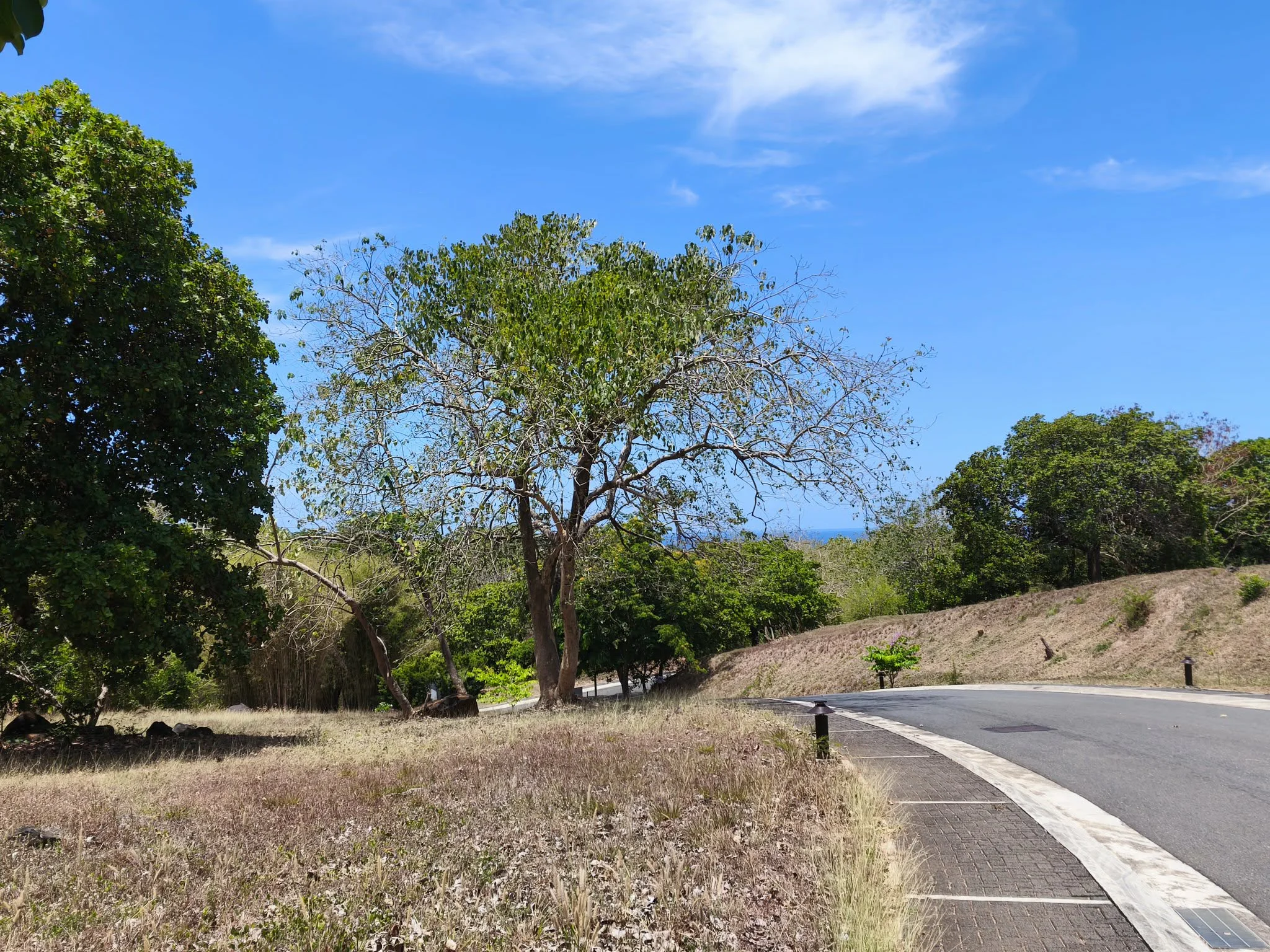 Anvaya Cove | 1051sqm Lot for Sale in Bataan