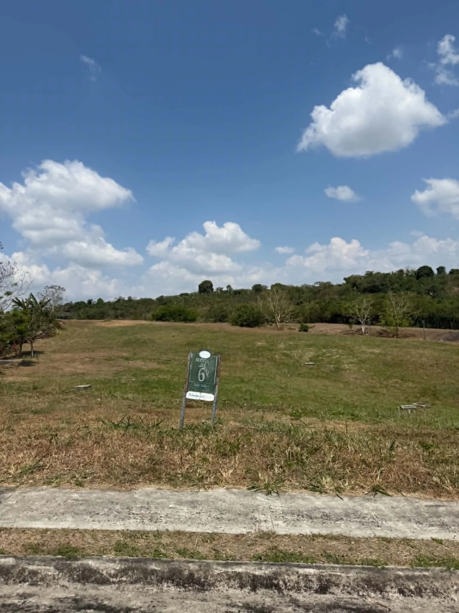 Ayala Westgrove Heights | Lot for Sale in Cavite