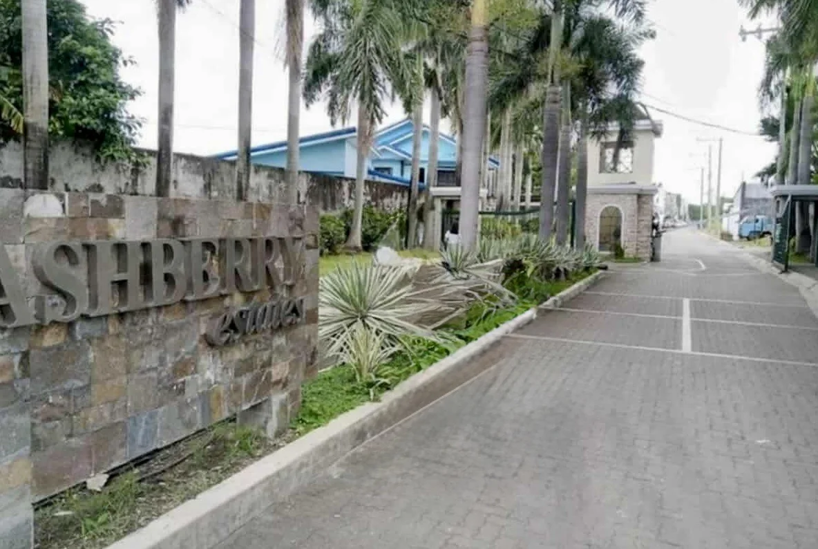 Ashberry Estate | Lot for Sale in Las Piñas City
