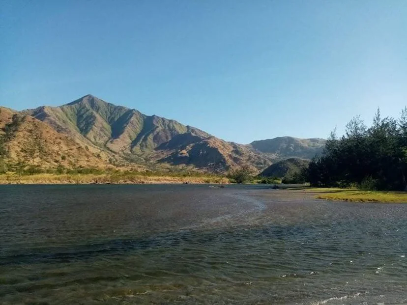 Subic 13000 Hectare | Lot for Sale in Zambales