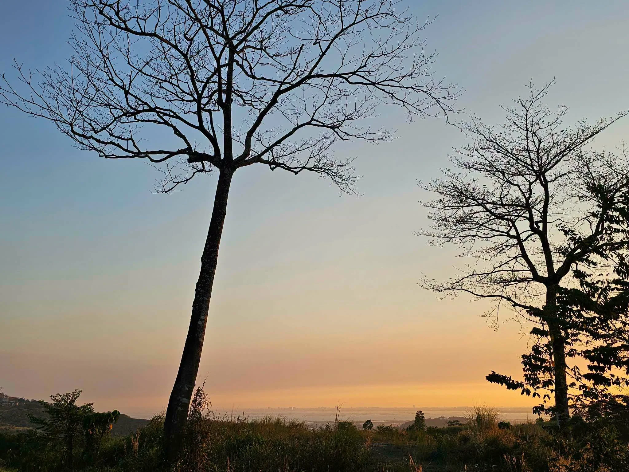 The Grove At Forest Farms By Havila | Lot for Sale in Rizal