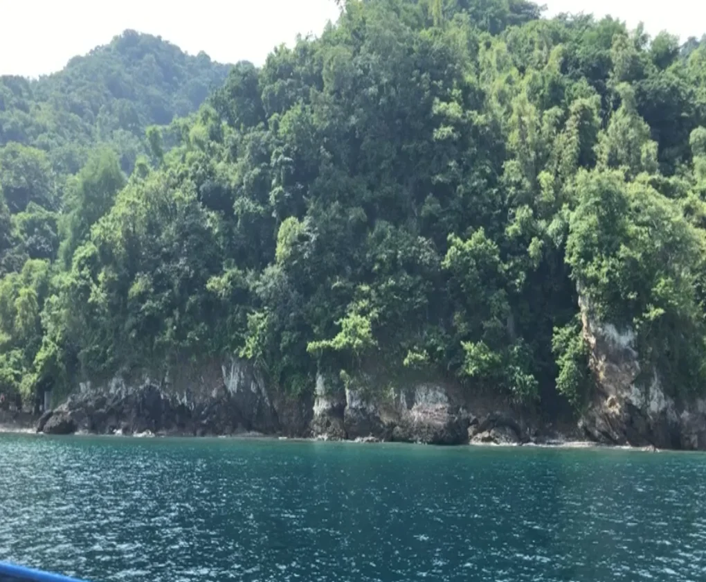 Beach Front Property Anilao | Beach Property for Sale in Batangas