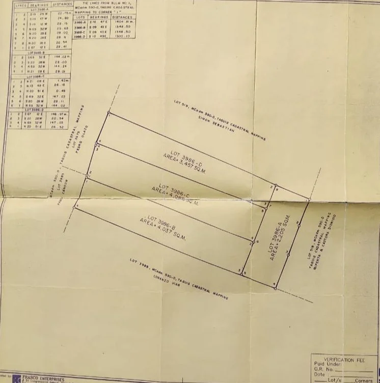 Agricultural/commercial Lot Along C6 Road Taguig City | Lot for Sale in Taguig City