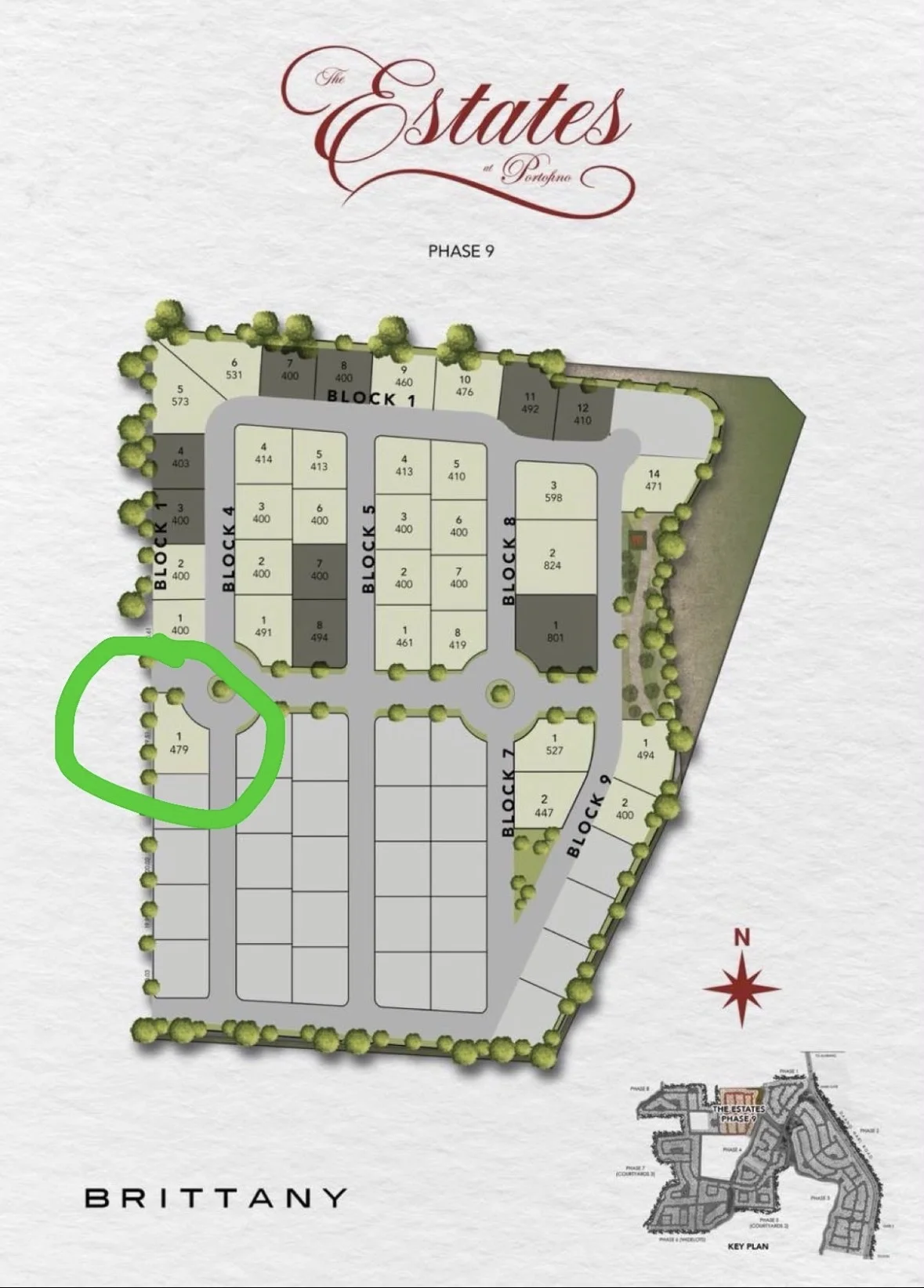 Portofino Heights The Estates | 479sqm Lot for Sale in Las Piñas City