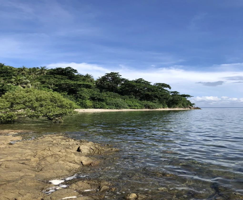 San Juan | Lot for Sale in Batangas