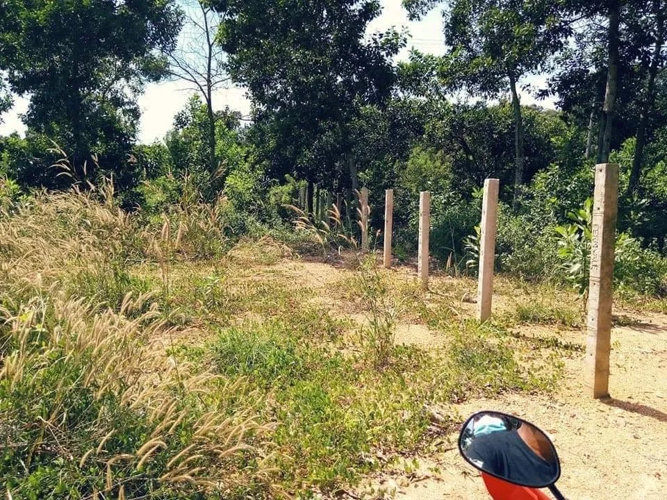 Beach for Sale in Digiboy