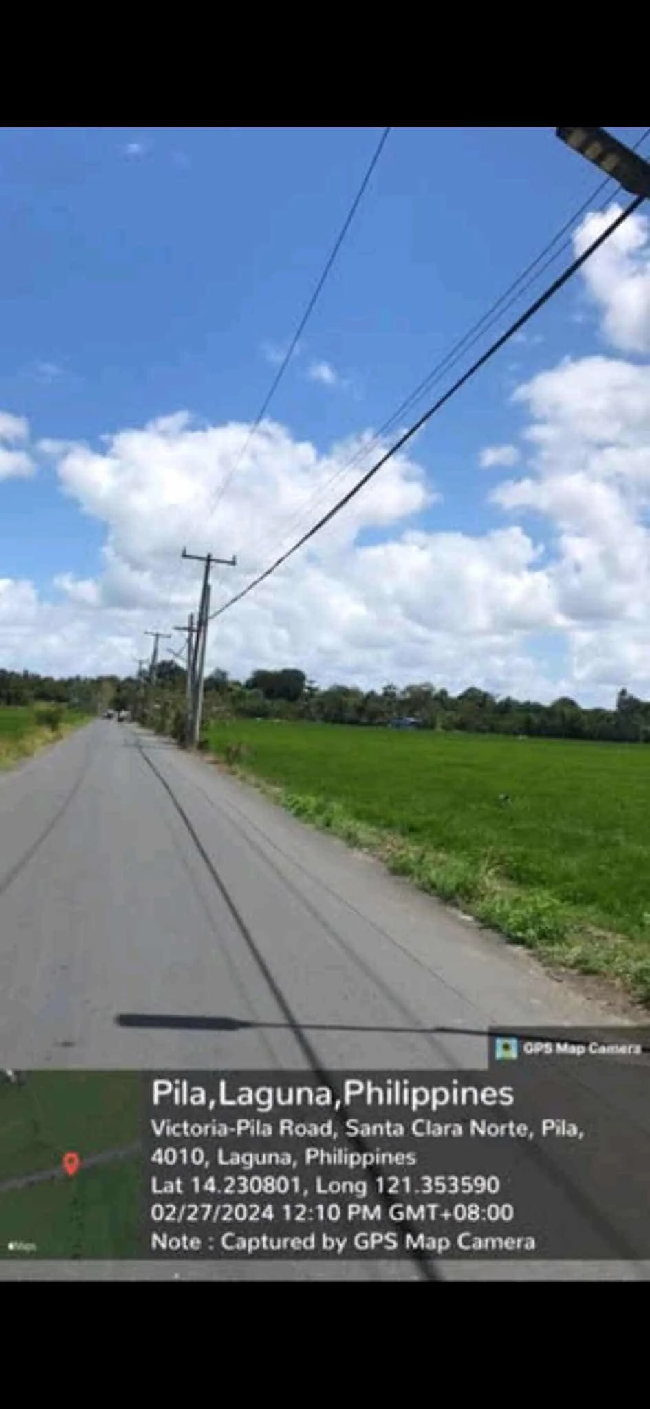 Farm for Sale in Rice Field In Pila, Laguna