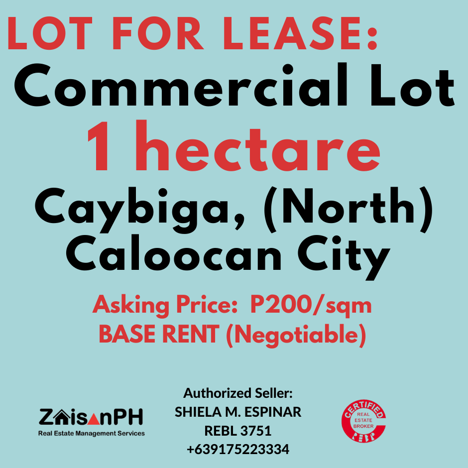 Prime Lot For Rent at  - P200/sqm