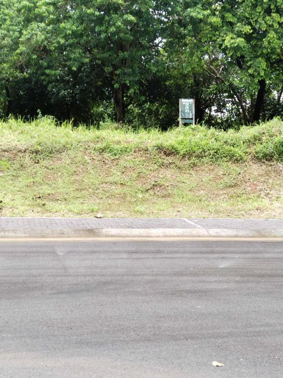 Lot for Sale in Anvaya Cove