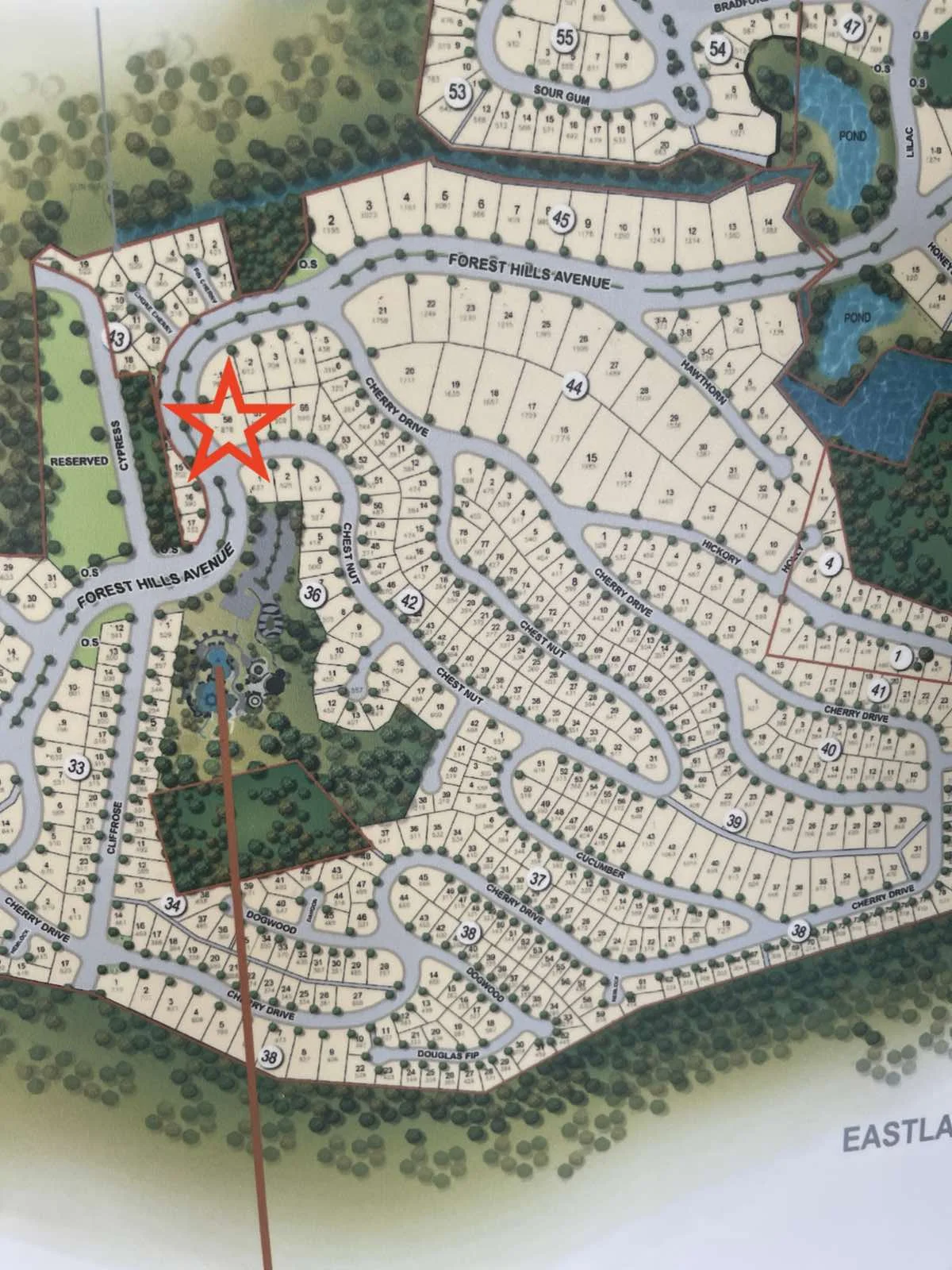 Lot for Sale in Forest Hills Golf & Country Club