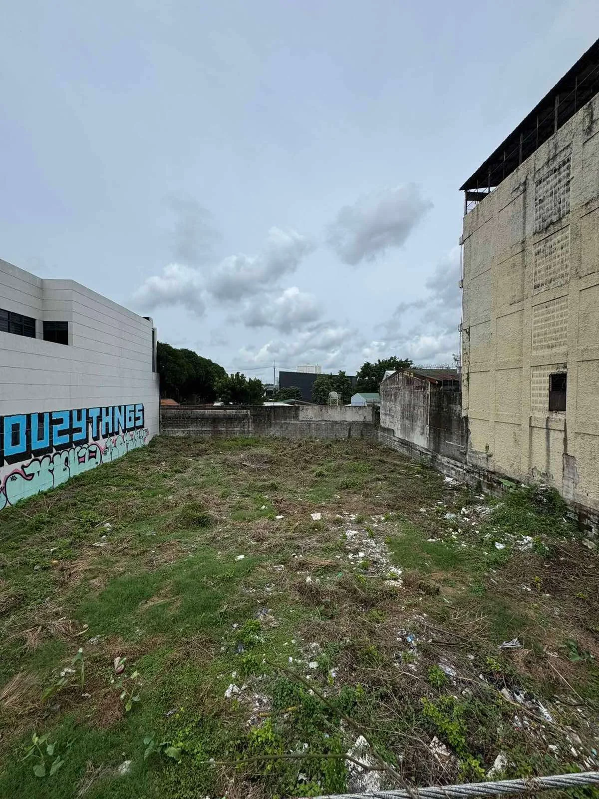 Lot for Sale in Aurora Boulevard