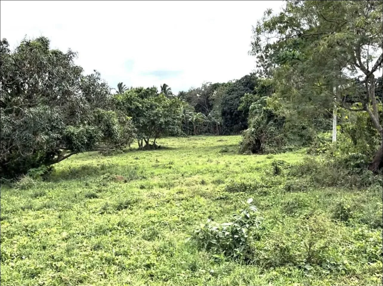 Lot for Sale in Northbound Star Tollway Road