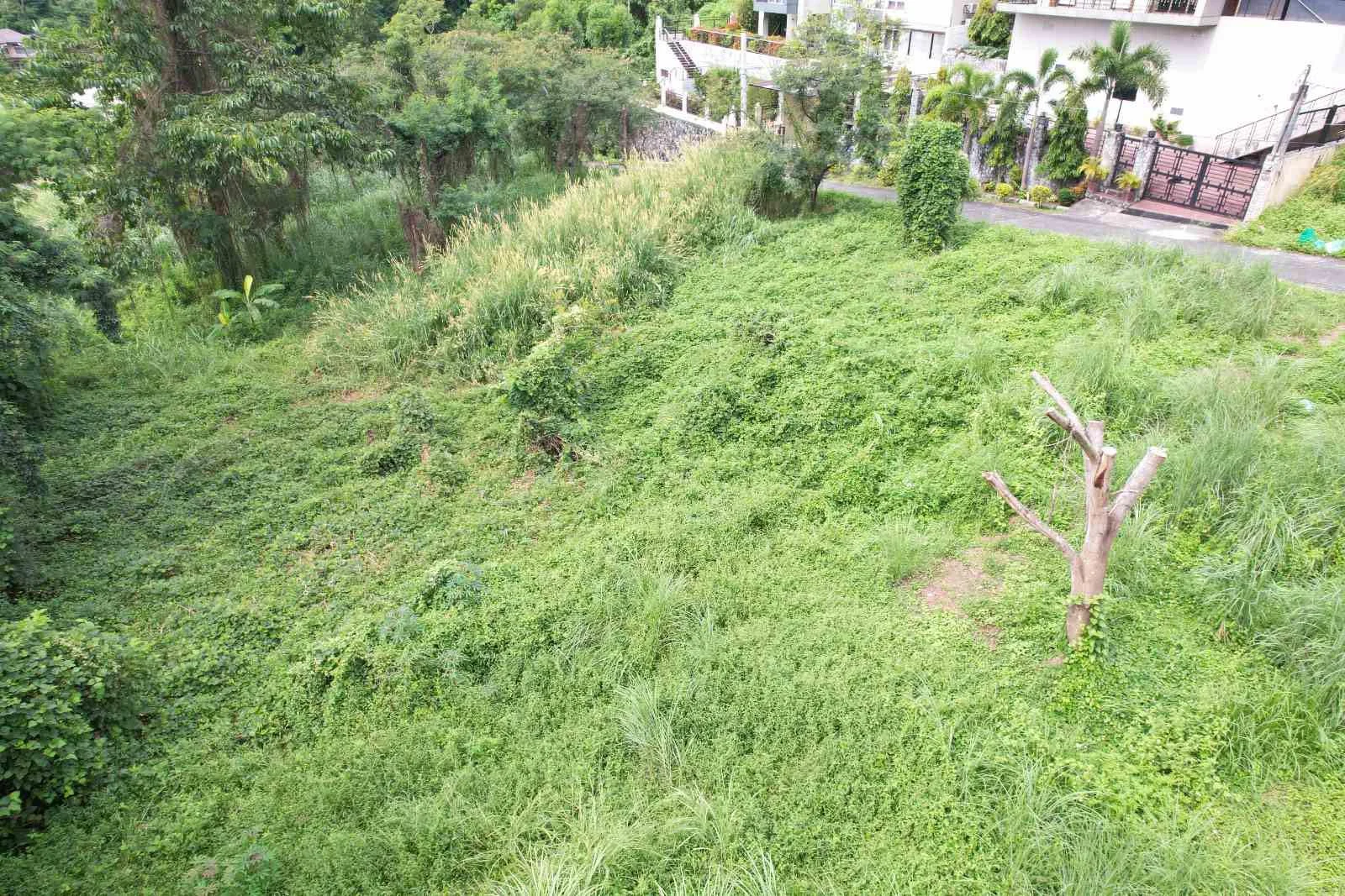 Lot for Sale in Mandala East, Timberland Heights