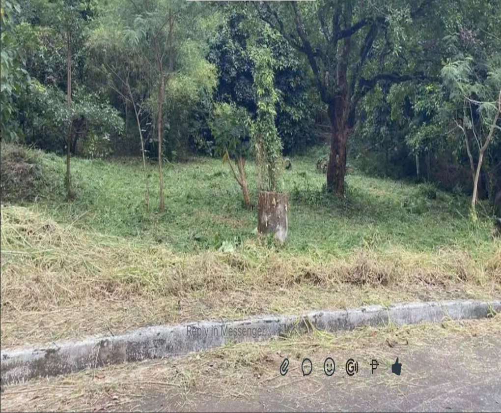 Lot for Sale in Eastland Heights