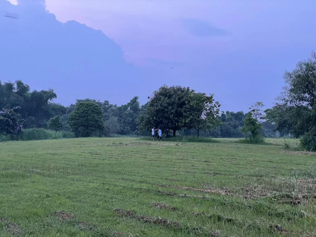 Abrio | Lot for Sale in Laguna