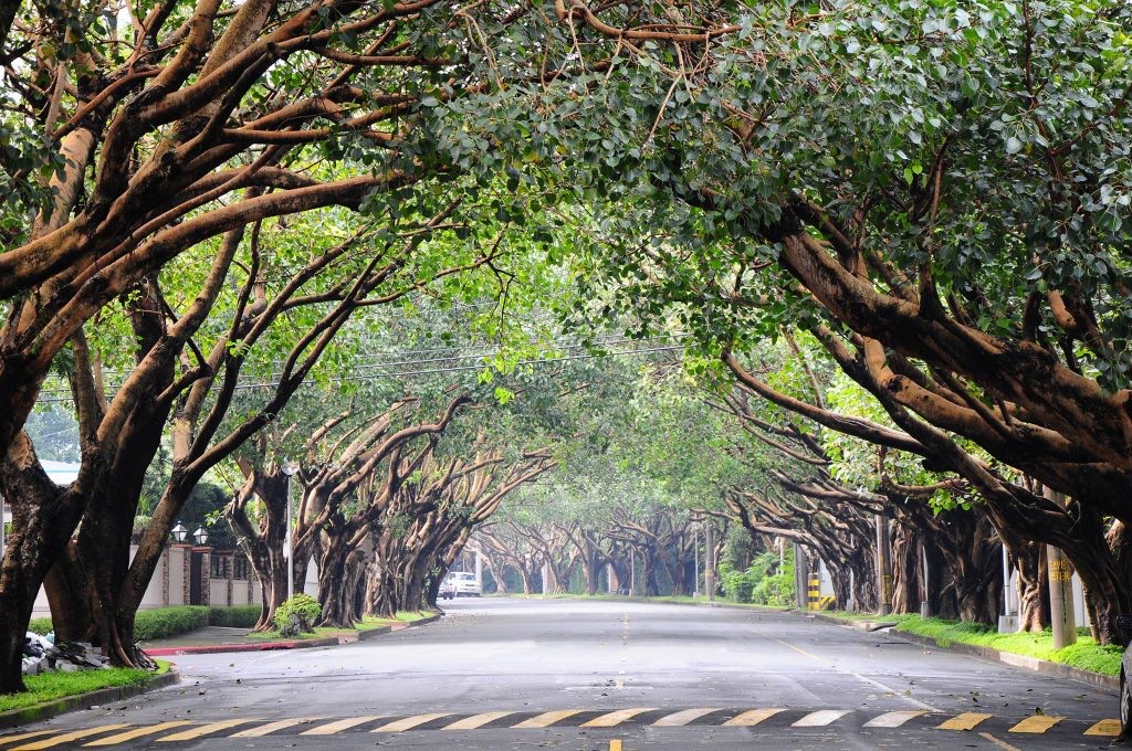 Dasmarinas Village Makati | RUSH SALE! ₱540k/SQM Prime Residential Lot