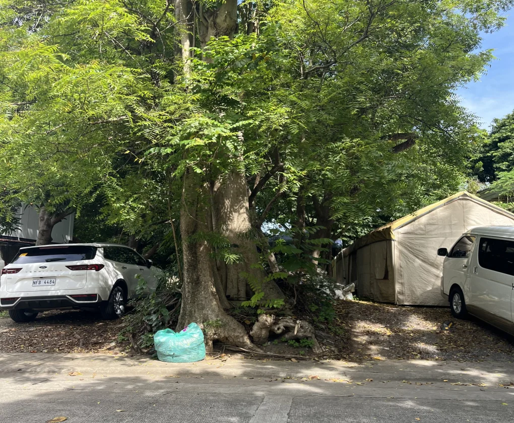 Lot for Sale in Ayala Alabang Village