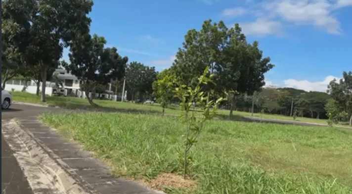 Lot for Sale in Manila Southwoods