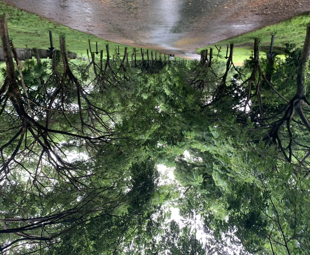 Lot for Sale in Elaro Nuvali