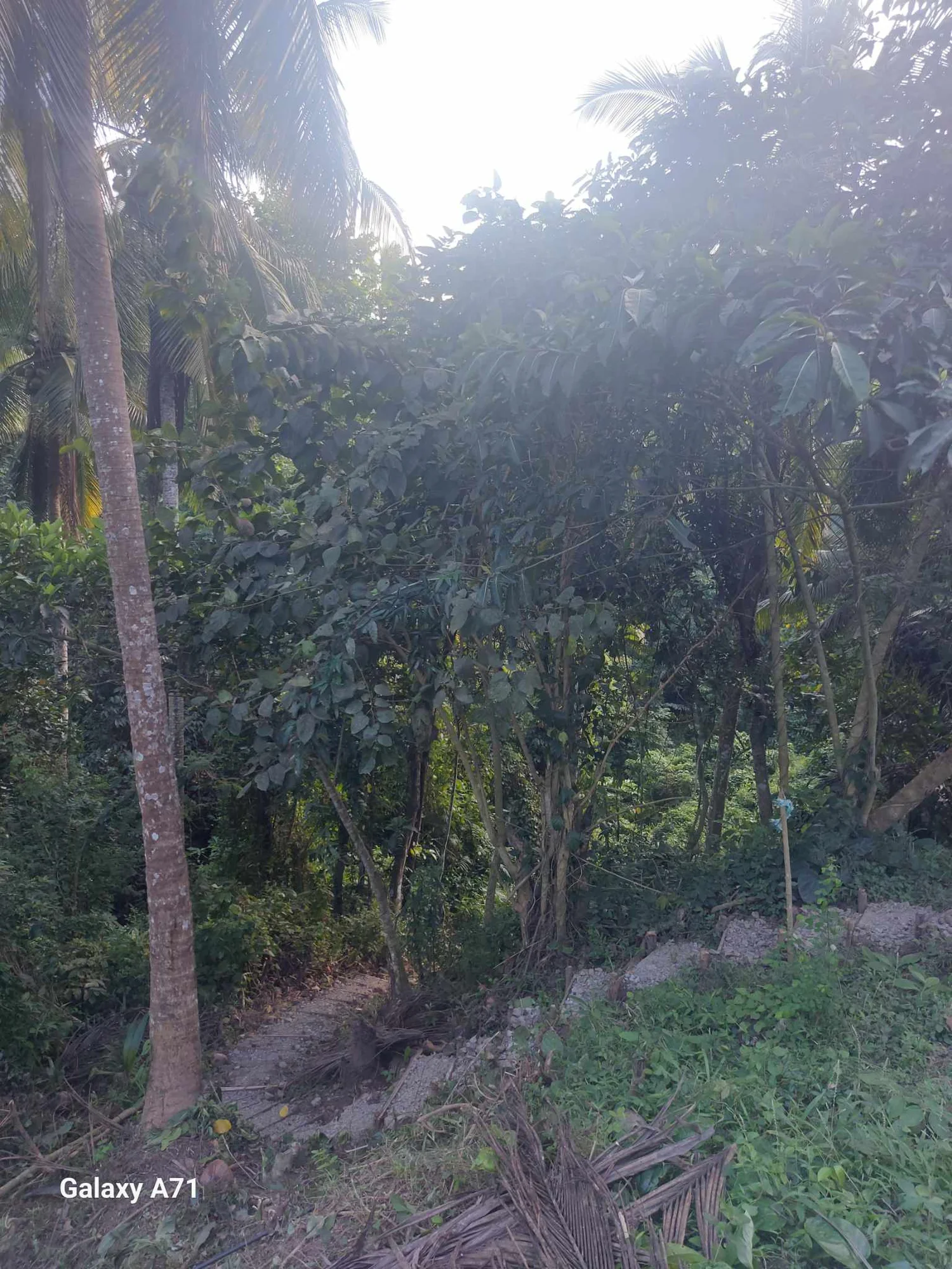 Lot for Sale in Rosario, Batangas
