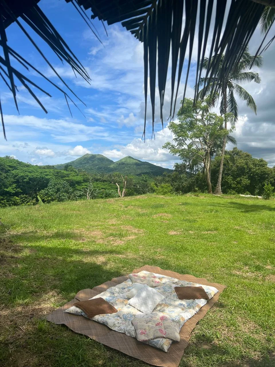 Lot for Sale in Alfonso Cavite