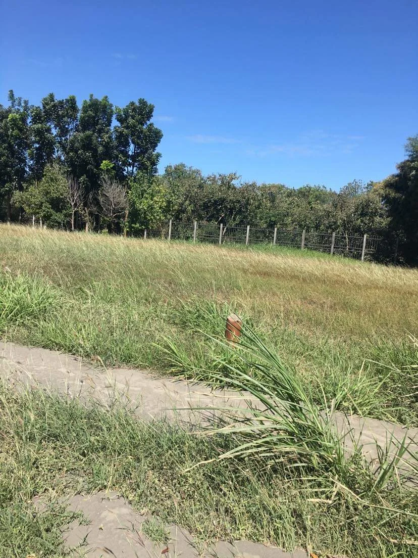 Lot for Sale in South Forbes Tokyo Mansions