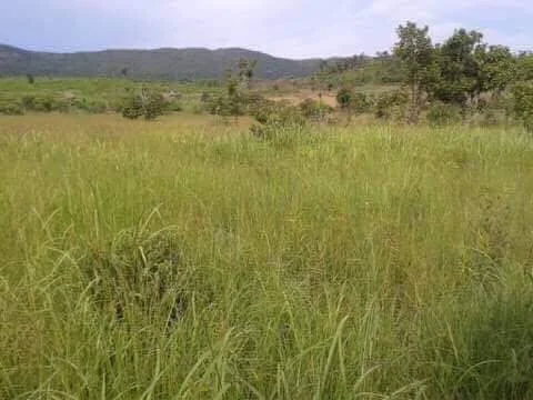 Lot for Sale in Palawan