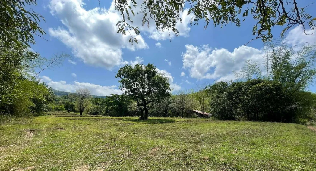 Lot for Sale in Sitio Pantay