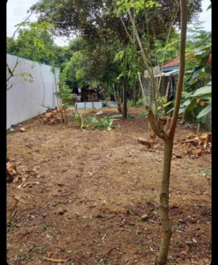 Lot for Sale in Mapayapa Village Iii