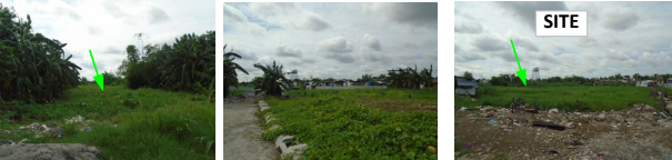 4,193sqm Lot for Sale in Biñan, Laguna (OB980.11)