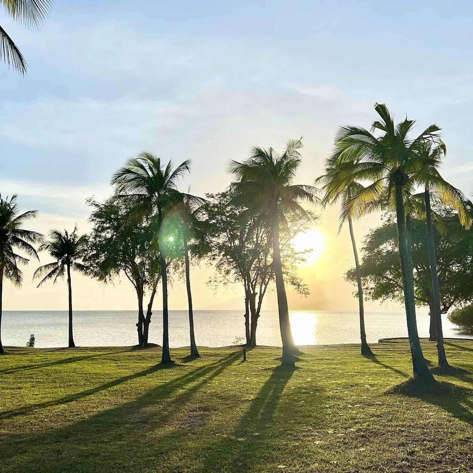 Lot for Sale in Porto Laiya Subdivision