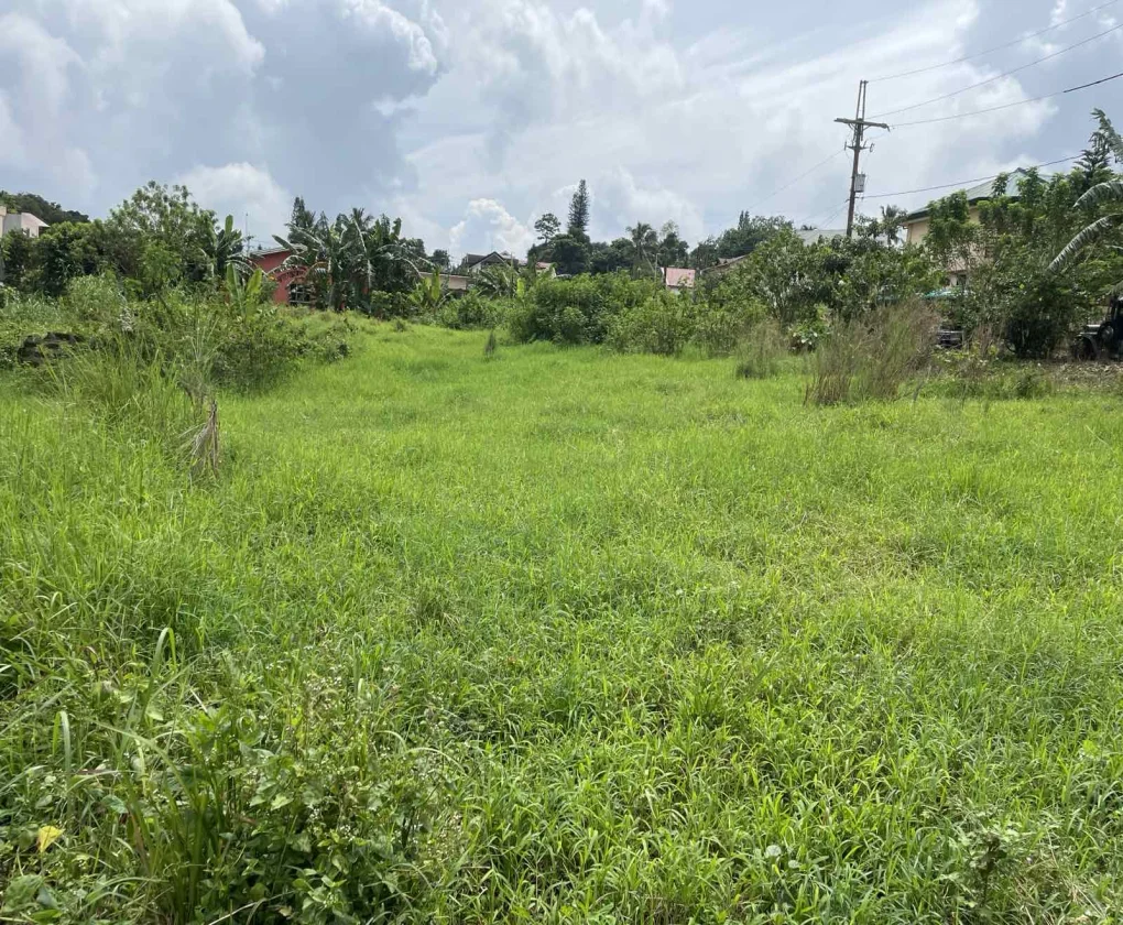 Lot for Sale in Filipinas Farm Iii