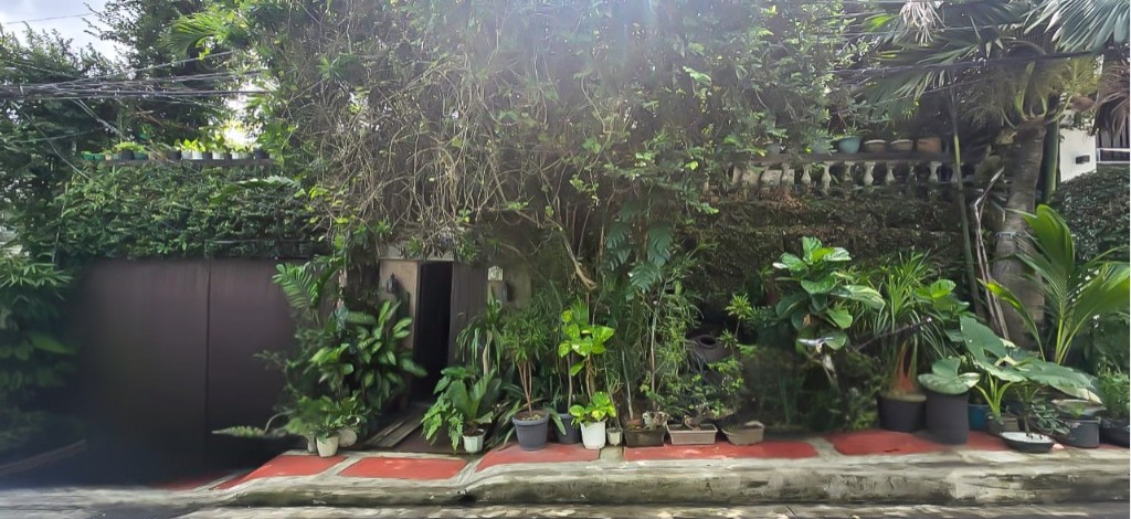 Lot for Sale in White Plains, Quezon City 426 sqm 