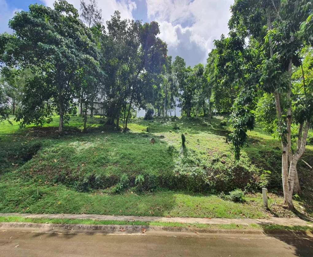 Lot for Sale in Ayala Westgrove Heights