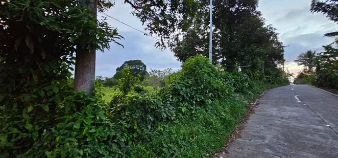 Lot for Sale in Amadeo Farm Lot