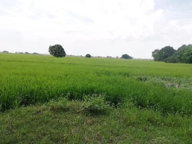 Lot for Sale in Pulilan