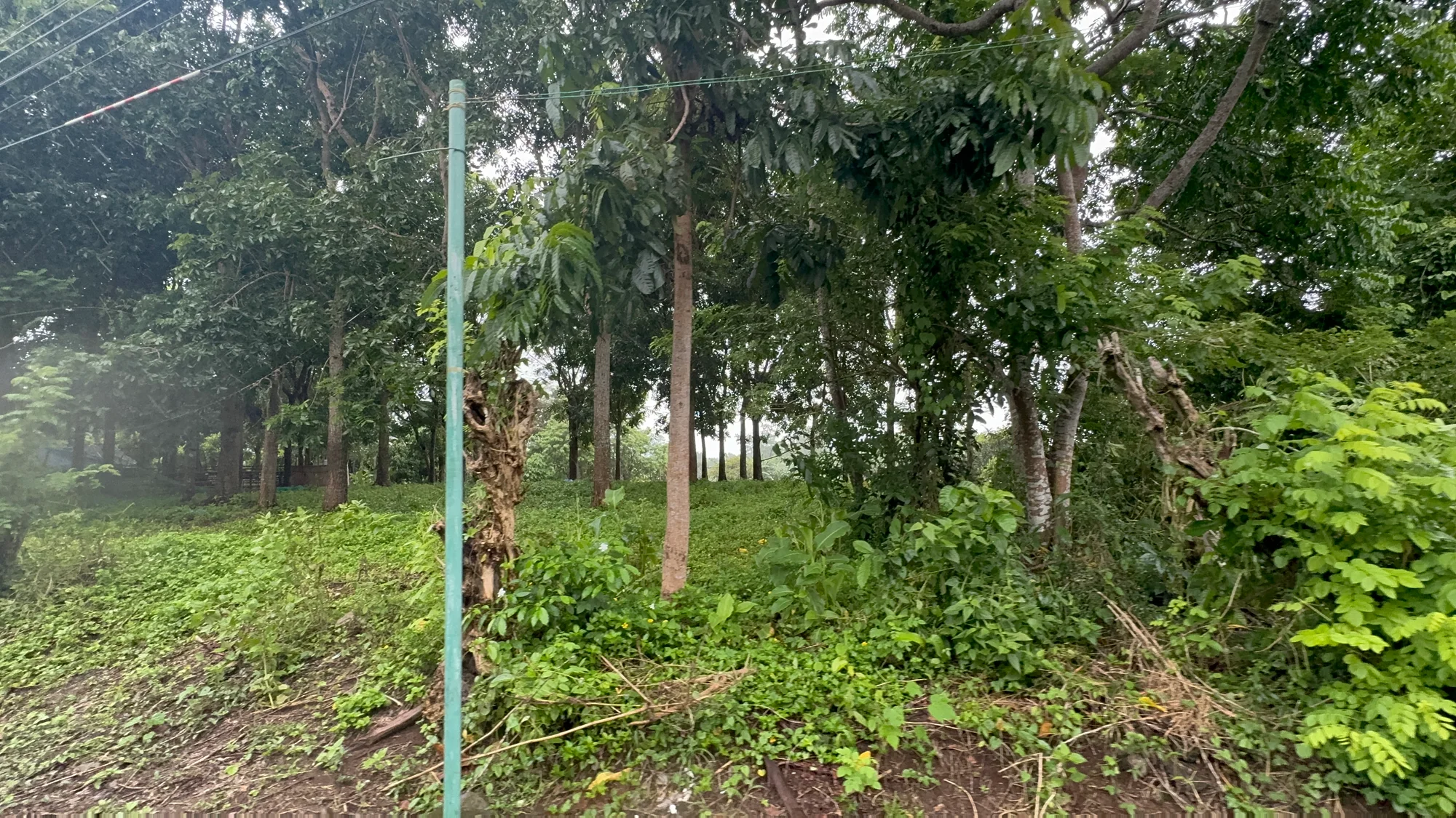 Lot for Sale in Alingaro, General Trias