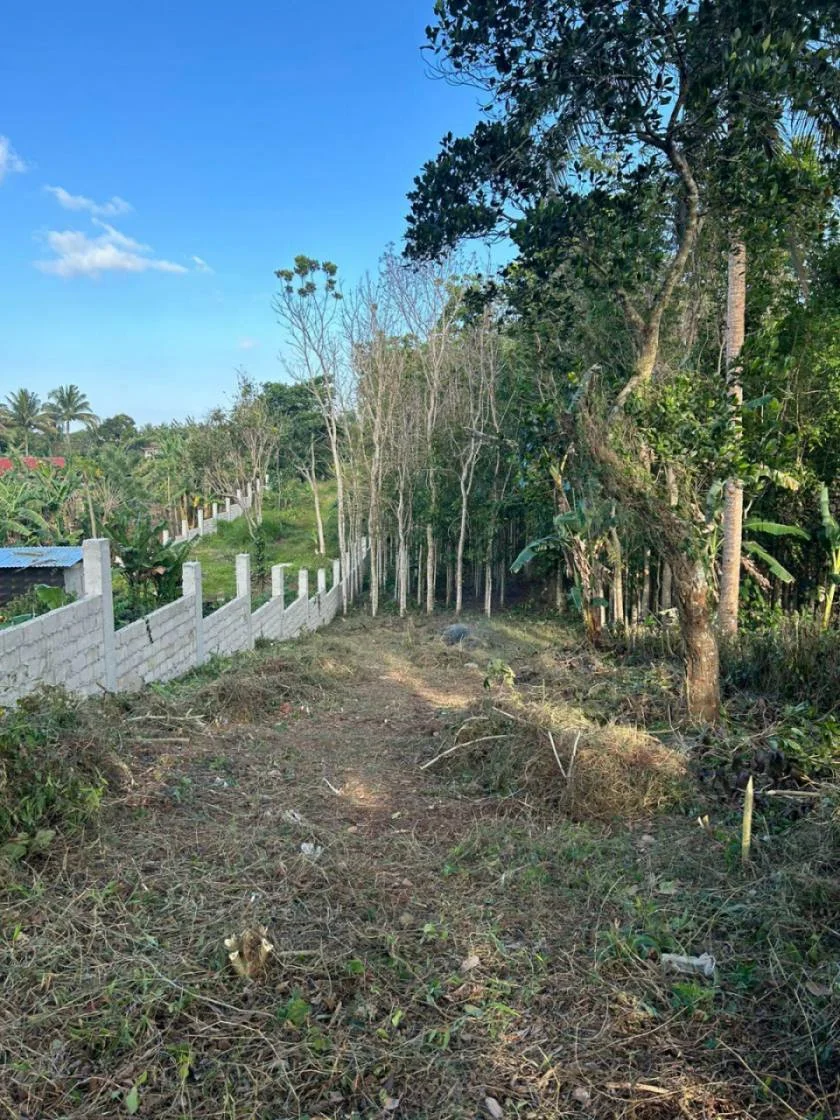 Lot for Sale in Commercial/residential Property In Amadeo Tagaytay