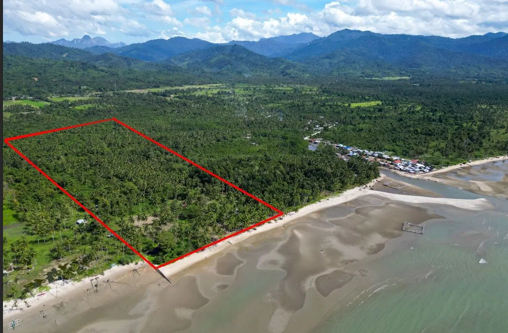 Lot for Sale in Palawan - Puerto Princesa City