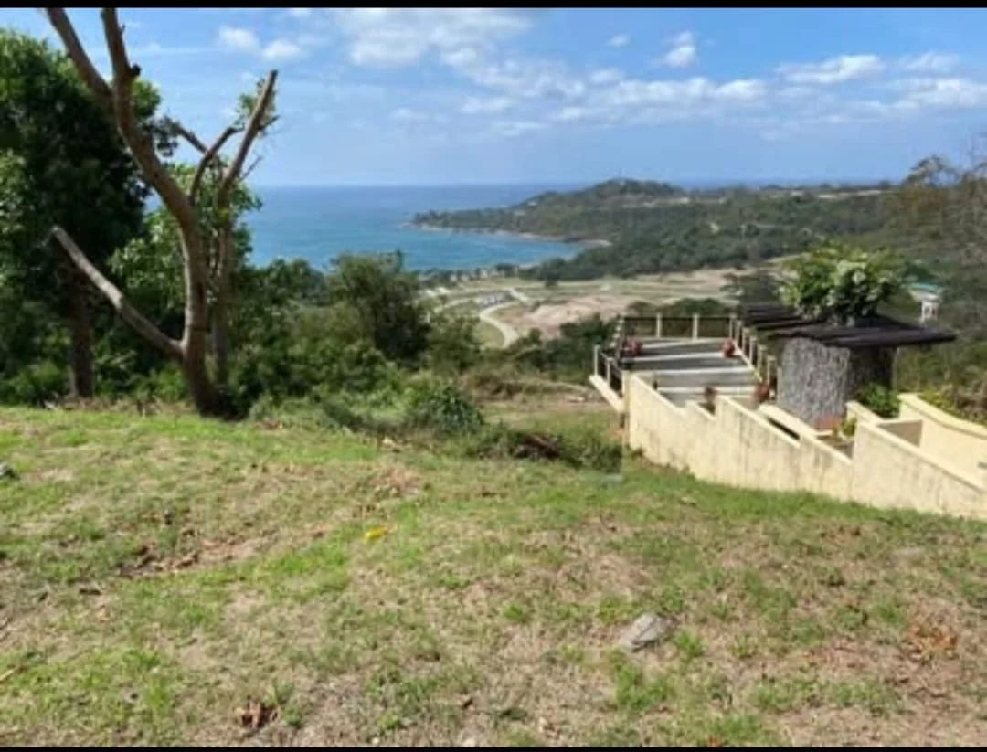 Lot for Sale in Terrazas De Punta Fuego