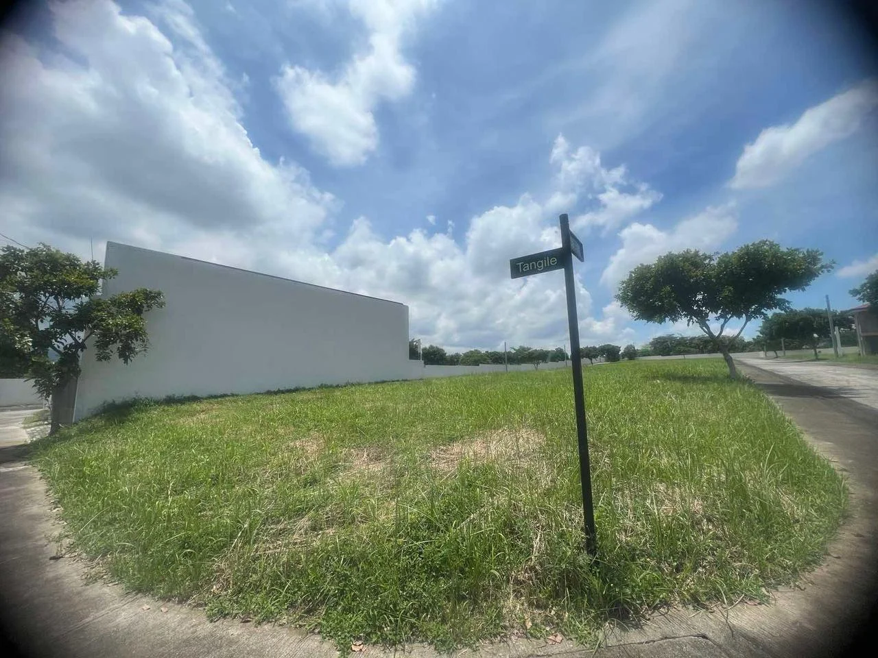 Lot for Sale in Alviera By Alveo