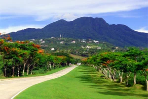 Lot for Sale in Ayala Greenfield Estates