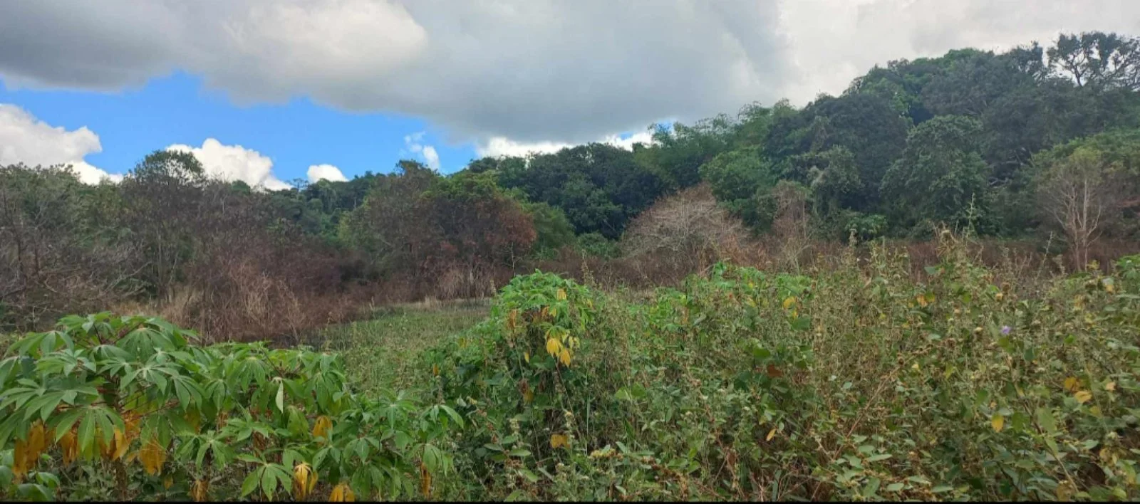 Lot for Sale in Rizal