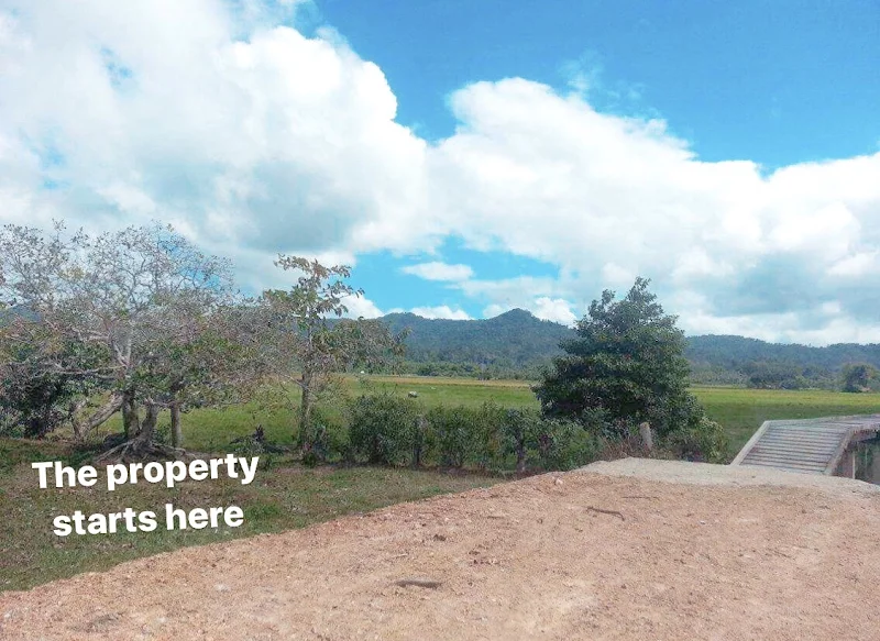 Lot for Sale in Palawan