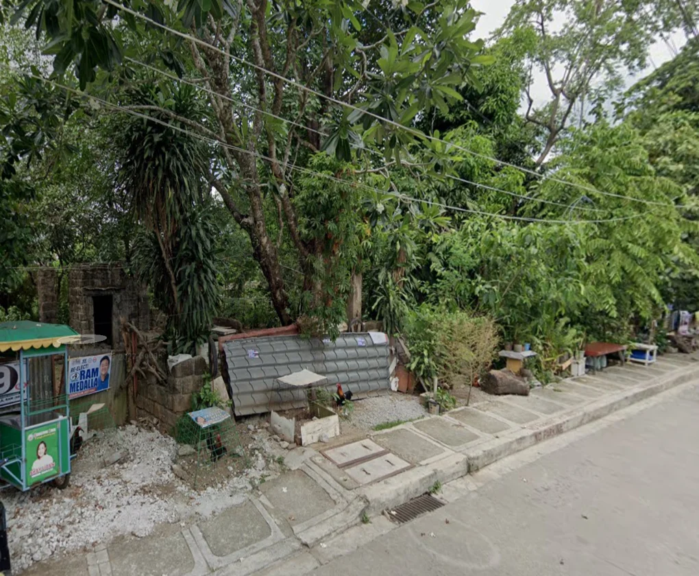 Lot for Sale in Maligaya Subdivision