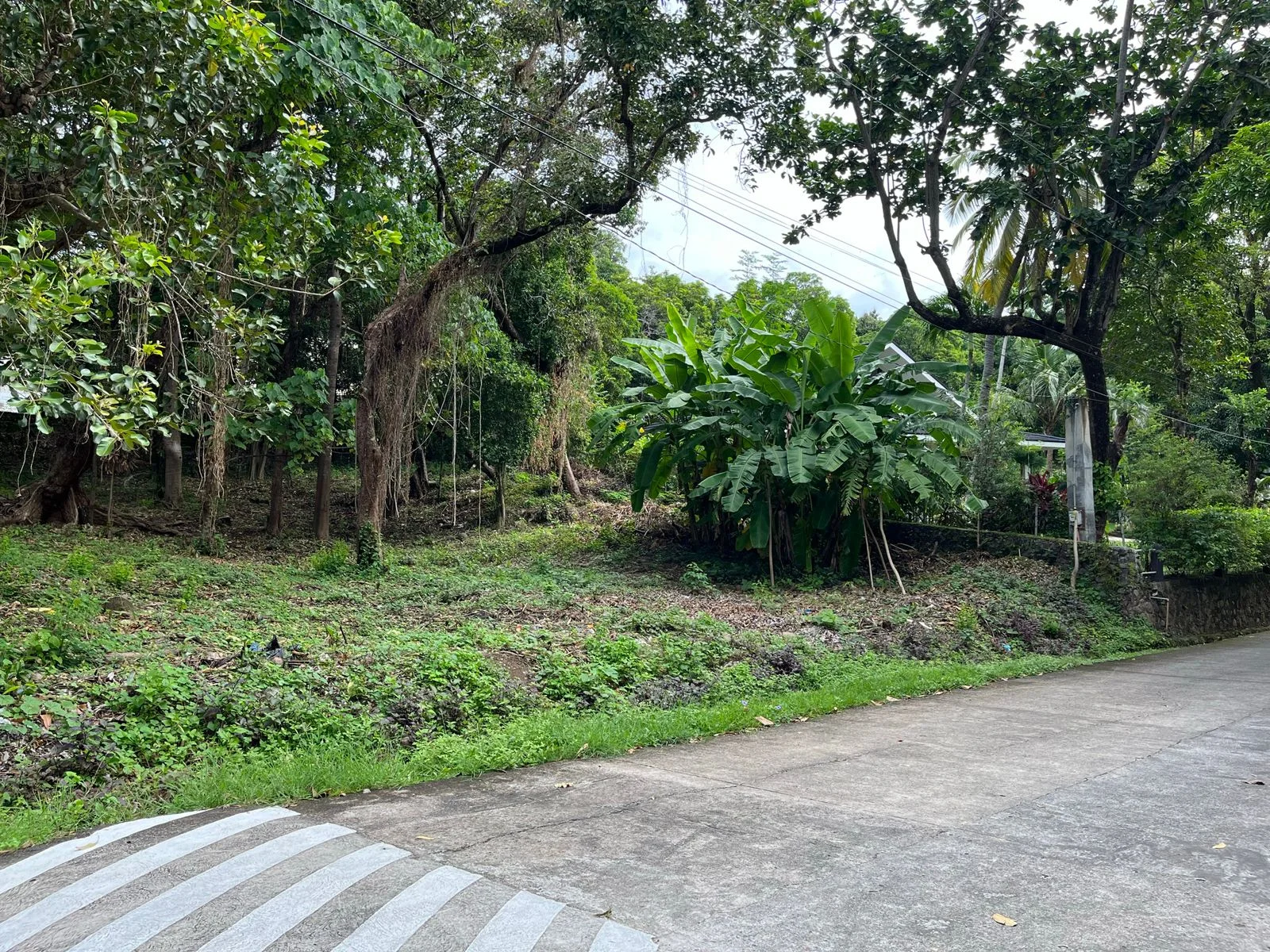 Lot for Sale in Tali Beach - Lot For Sale In Batangas