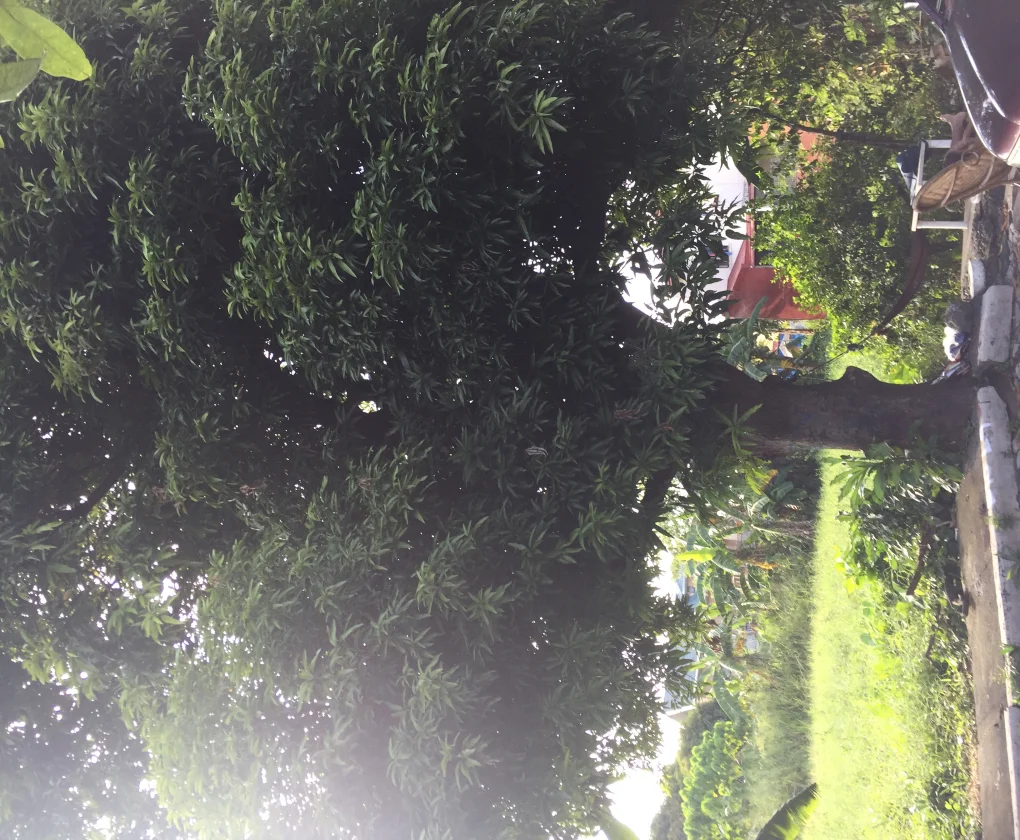 Lot for Sale in Vermont Royale Executive Village